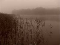 Abyss part3