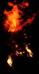  Firemaster