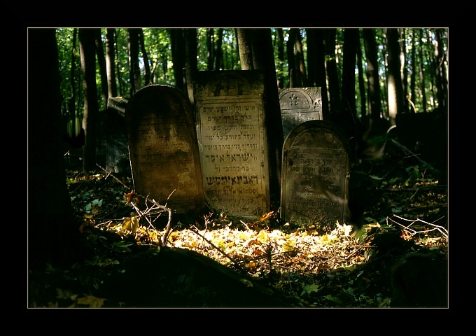 Cmentarz Żydowski w Warszawie (2)