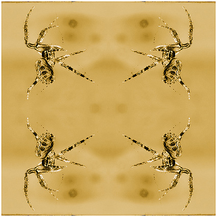 4x1