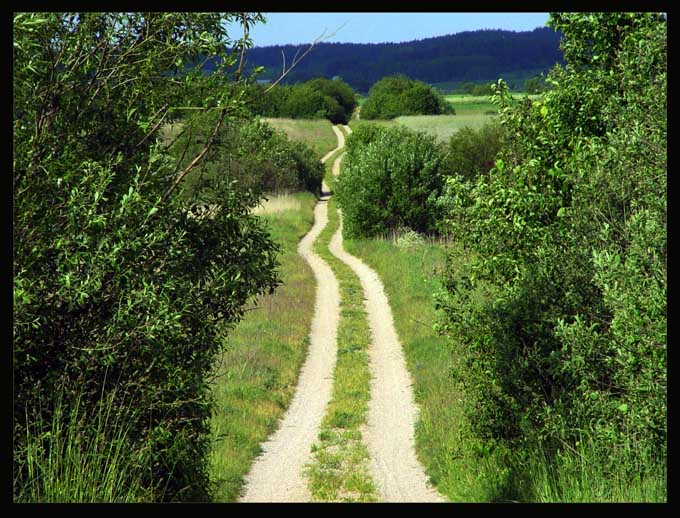 podlaskie klimaty