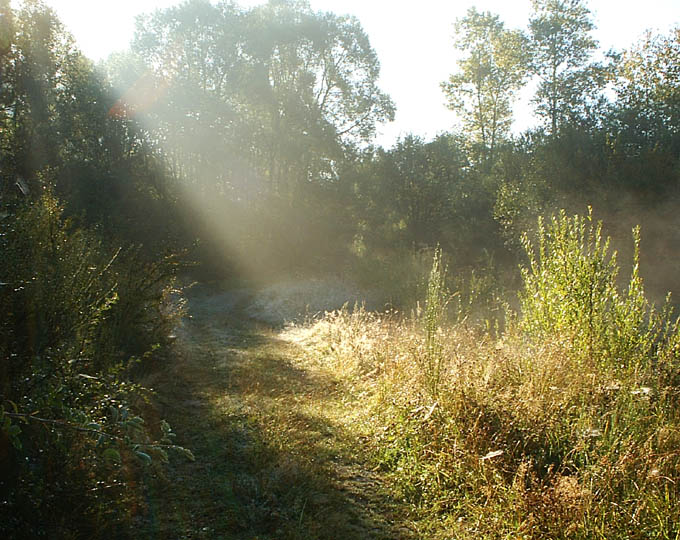 pierwszy przymrozek