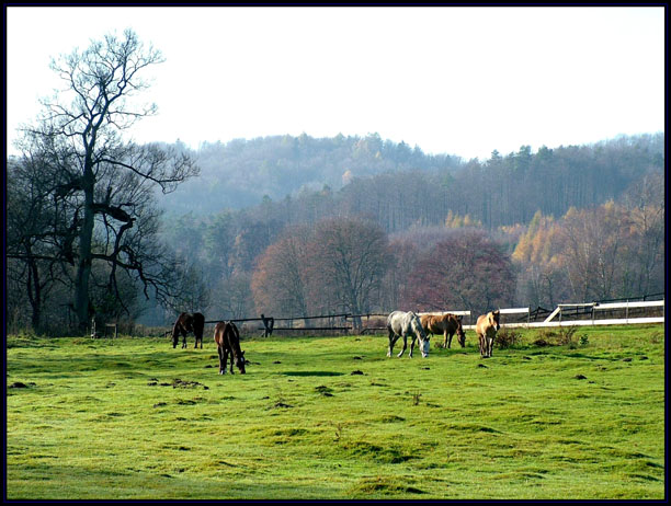 Doliną rzeki Łeby