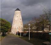 Wieża