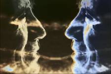 face to face