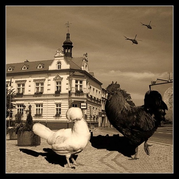 Foto szopka