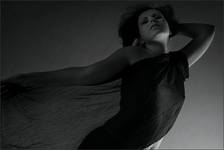 the butterfly
