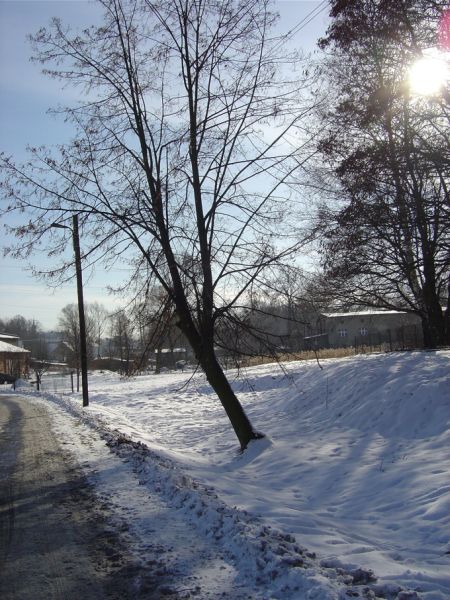 słoneczna zima, chyba styczeń 2004