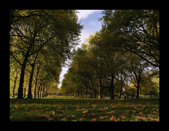 Piter 54