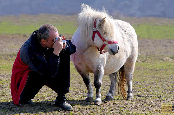 Krzysztof Jarczewski