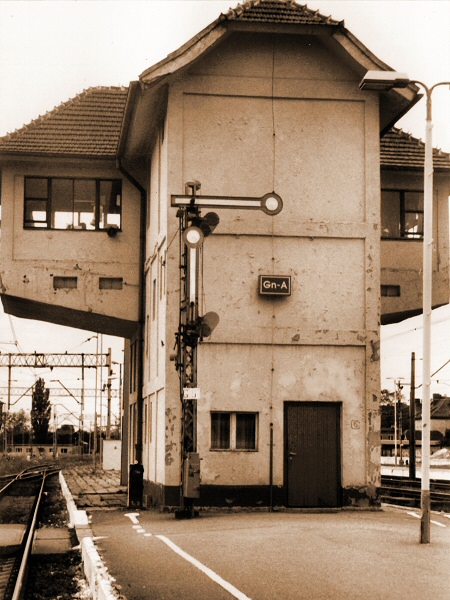 Gnieźnieński karzełek