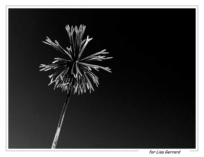 for LISA GERRARD