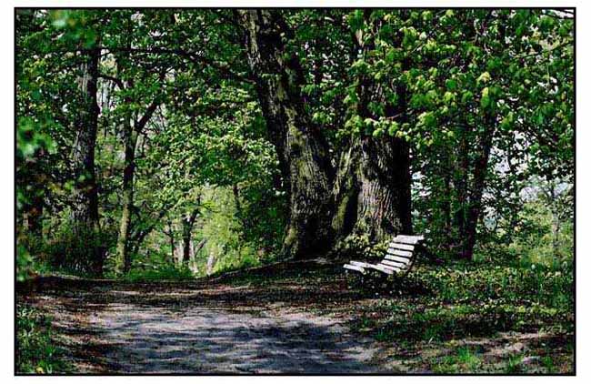 PARK
