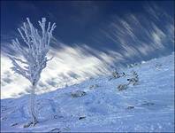 Blue Winter&#039s Dream