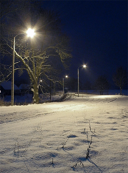 zima