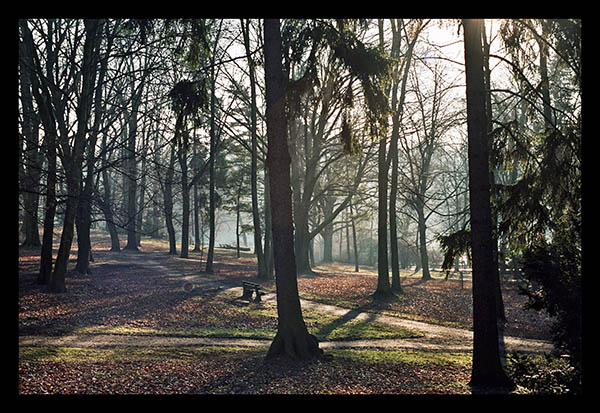 Park