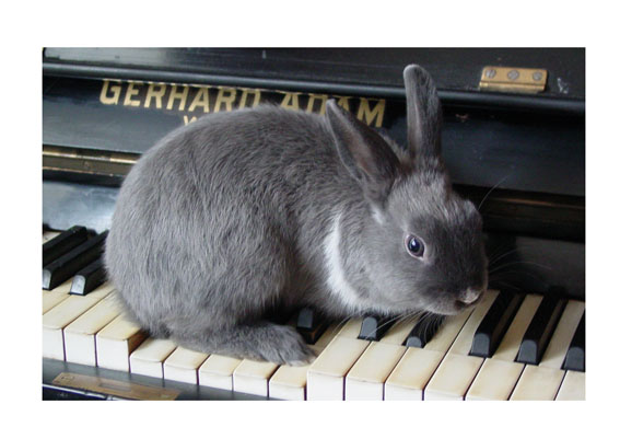 piano kicaj
