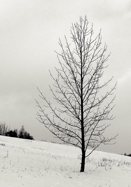 ...: white sunshine :...