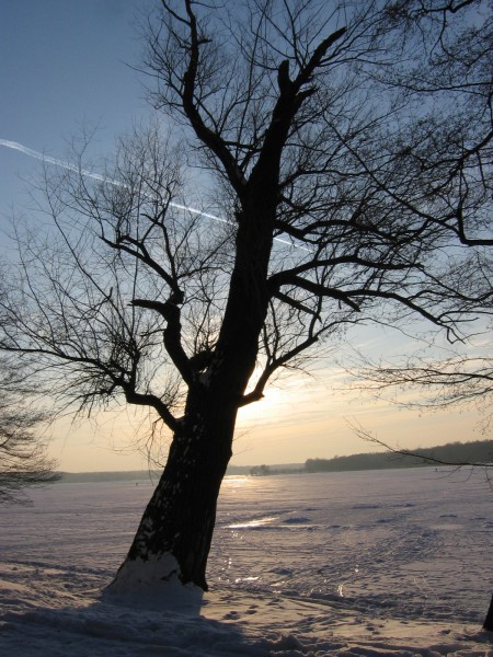 dZiAdEq