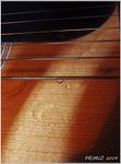 Gitara
