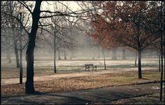 park 02