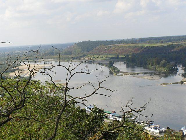 nibui