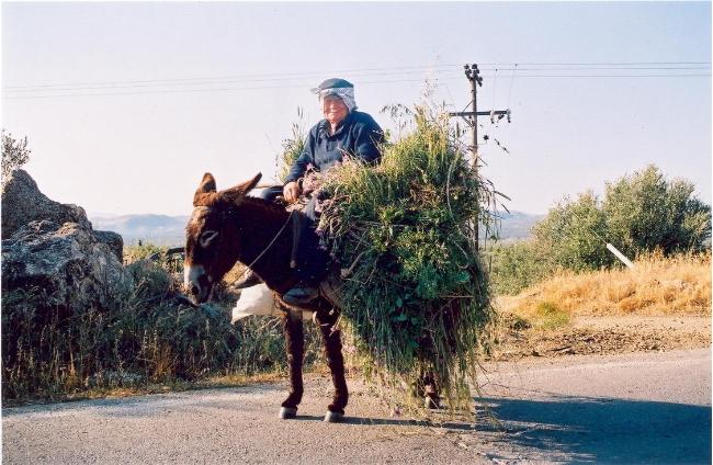 dziadek, Kreta maj 2004