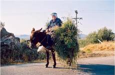 dziadek, Kreta maj 2004