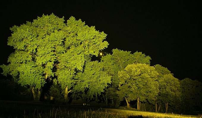 picella