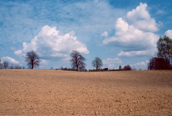 "Przedwiośnie "