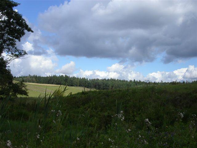 Mazury