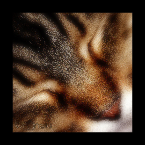Dead tired...
