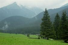 Dolina