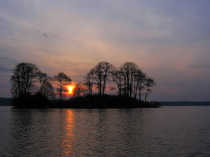 Wyspa o świcie na jeziorze Sławskim