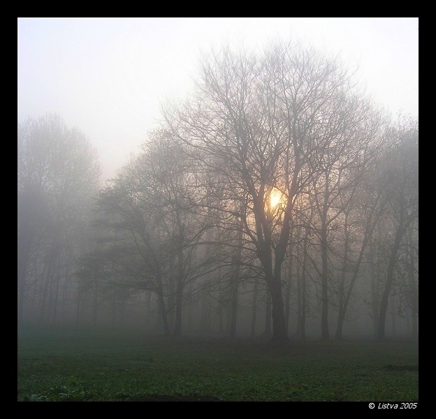 ParkWeMgle...