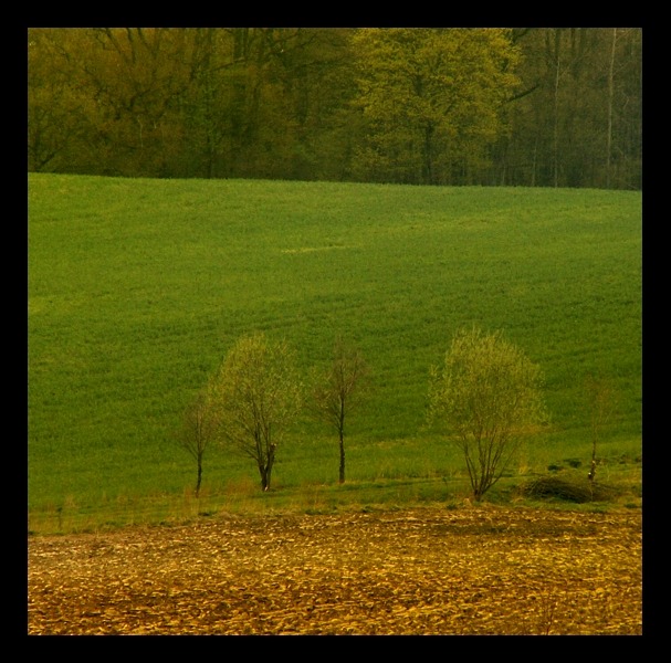 Świat kolorów...