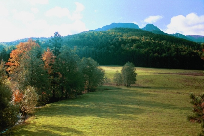 Śpiący Rycerz