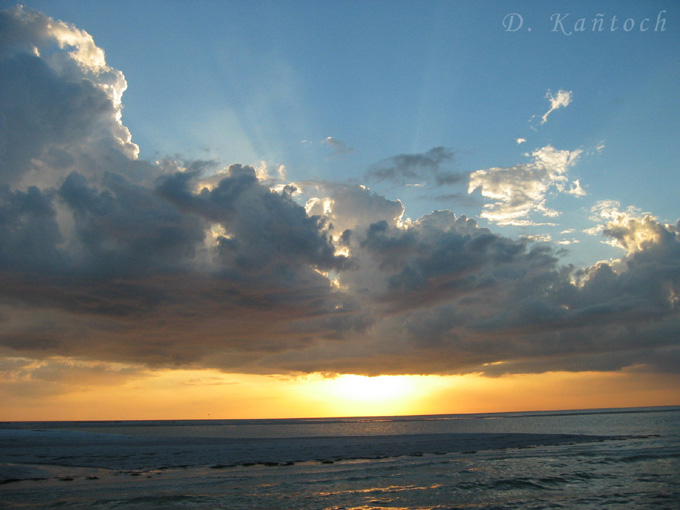 Tarpon Sunset