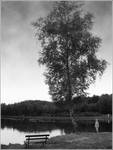 Koniec lata