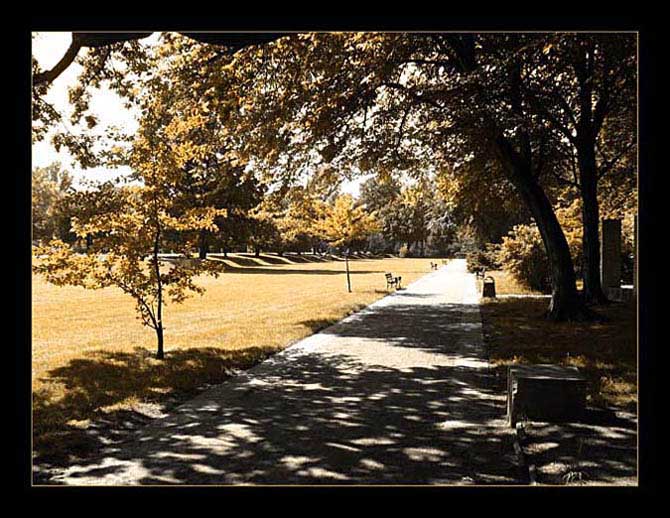 Park
