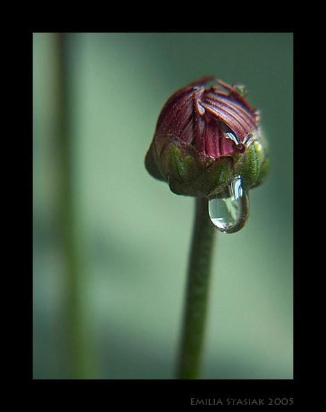 tear