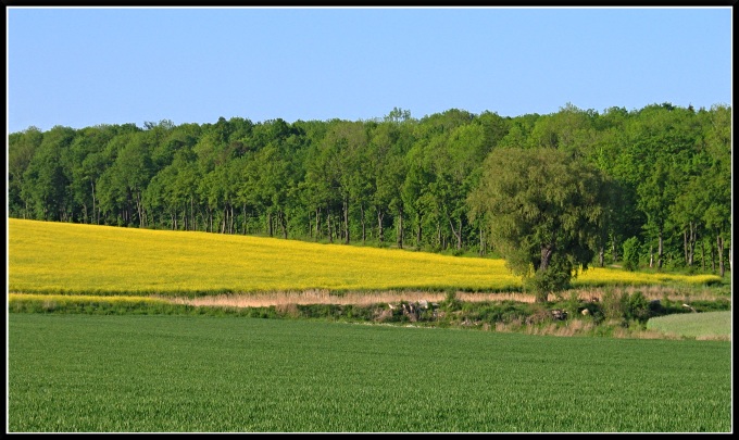 Siedlęcin k./Jeleniej Góry