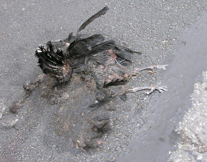 chwilka nieuwagi