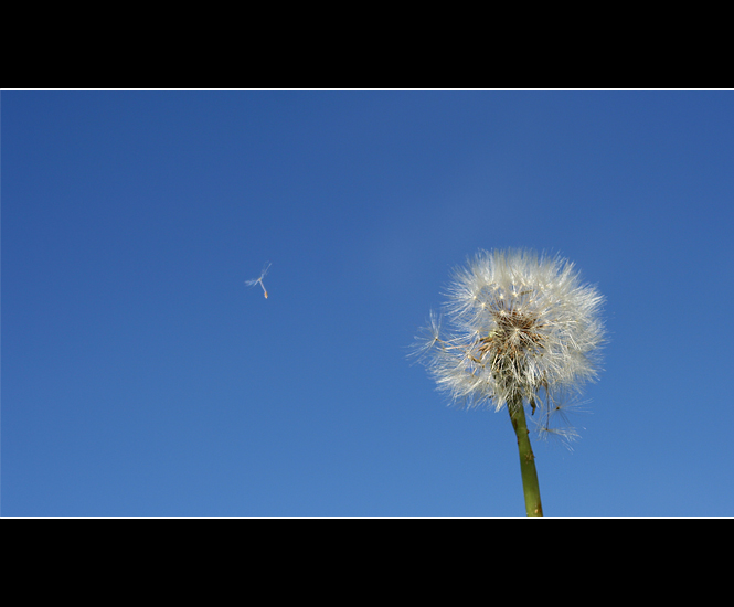 Take me away... :)