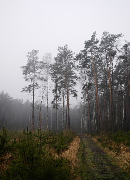 mysterious way...