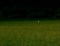 illumination2: finding the way
