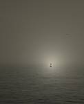 Into the Light II