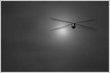 X-WING