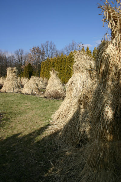 Snopki