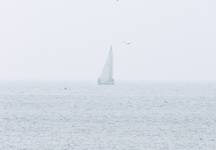 i am sailing...